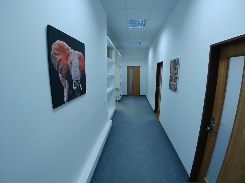 Apatrhostel Brno Zewnętrze zdjęcie